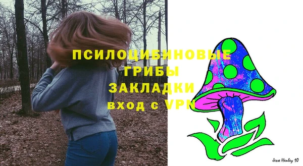 таблы Алзамай
