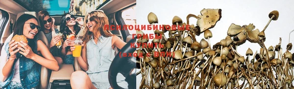 прущие крисы Алексин