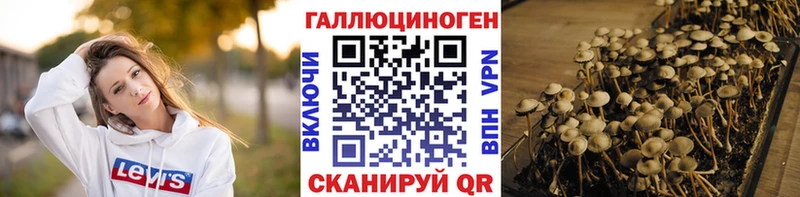 Псилоцибиновые грибы GOLDEN TEACHER  наркошоп  Ковылкино 